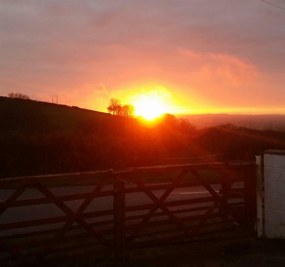 Pantysgyfarnog Near Carmarthenshire Pembrokeshire Hotel Exterior foto